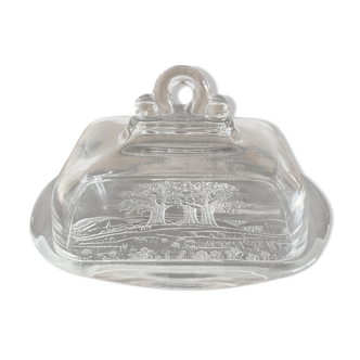 Glass butter dish