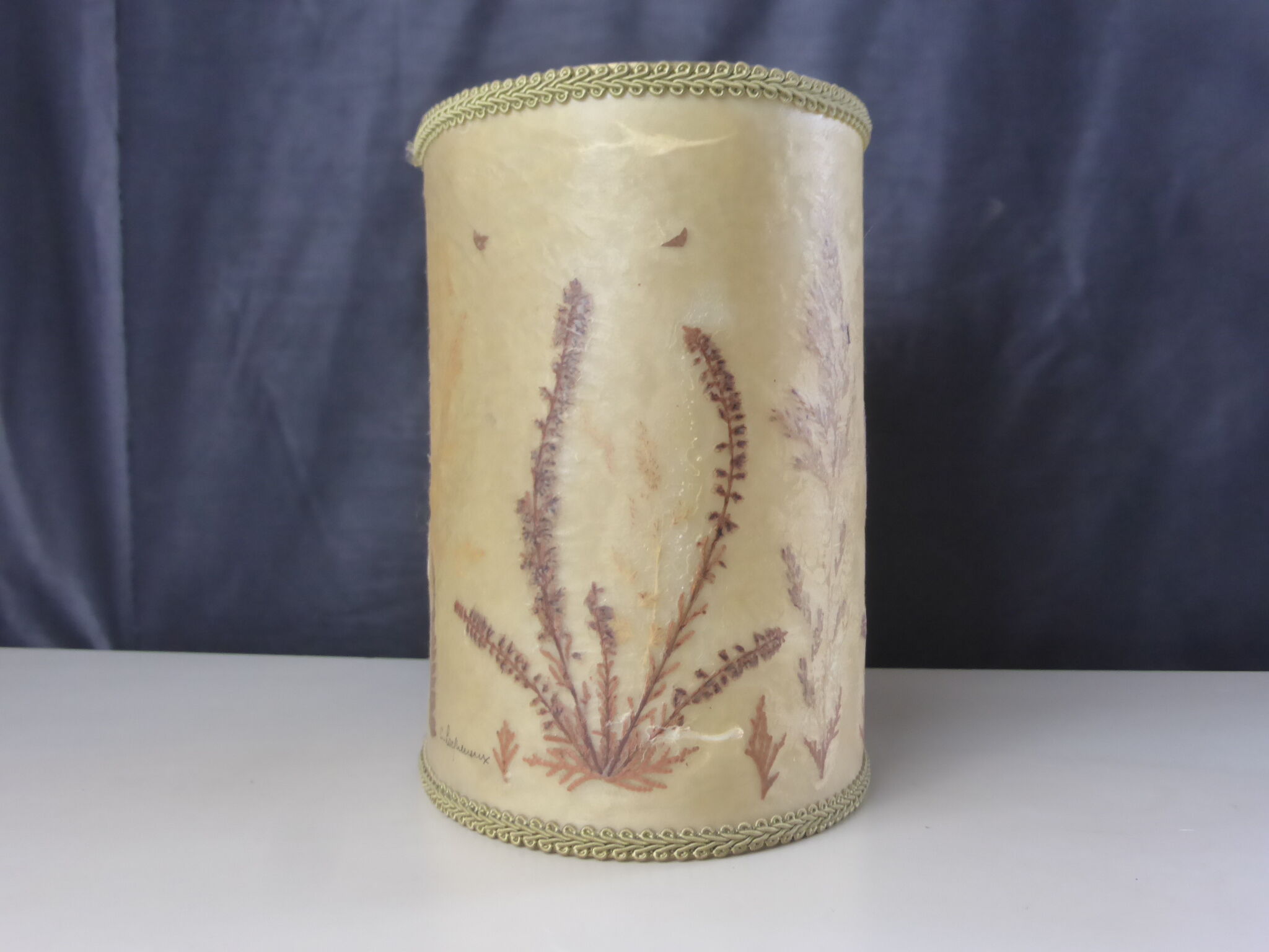 Vintage herbarium lampshade signed C. Loqueneux