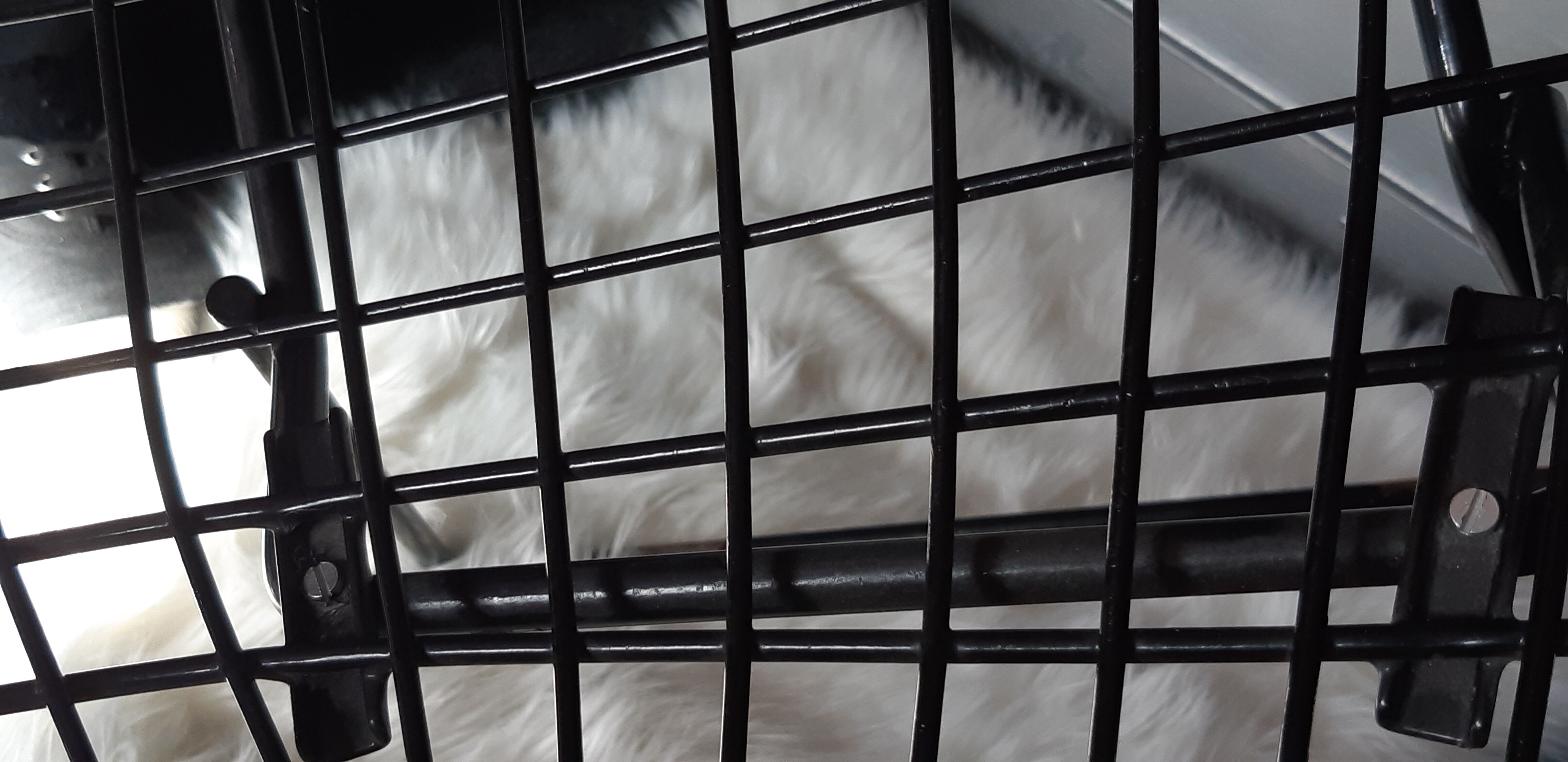 Chair by Harry Bertoia