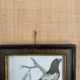 Zoological engraving 1808, 19th-century wooden frame