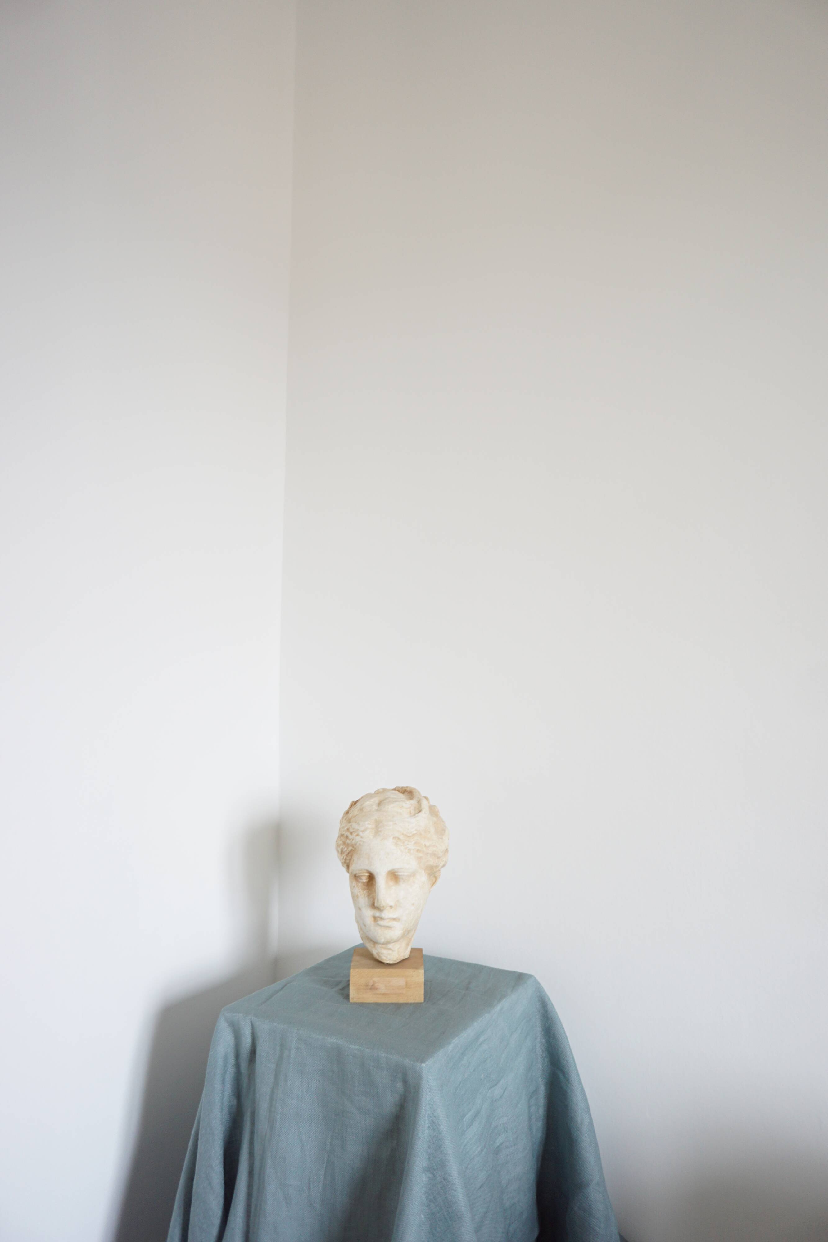Head plaster goddess hygeia