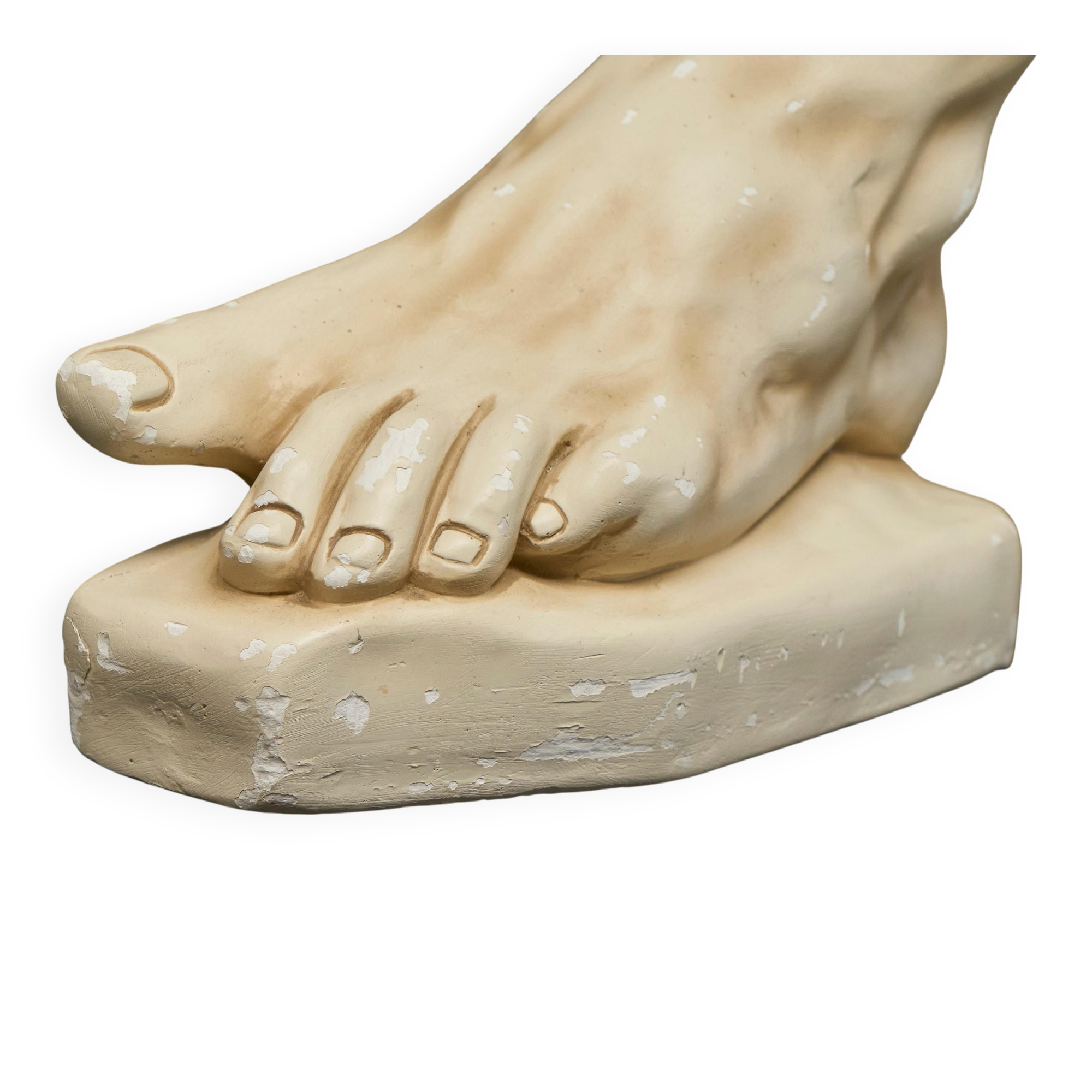 Anatomical study of a plaster foot from the 1950s.