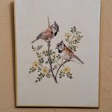 Planche ornithologique