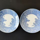 Set of 2 plates japan