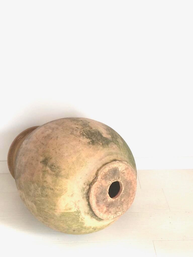 Biot Jar