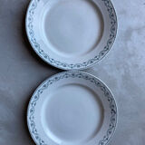 Round iron earth dishes