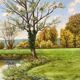 Green landscape signed in 1998