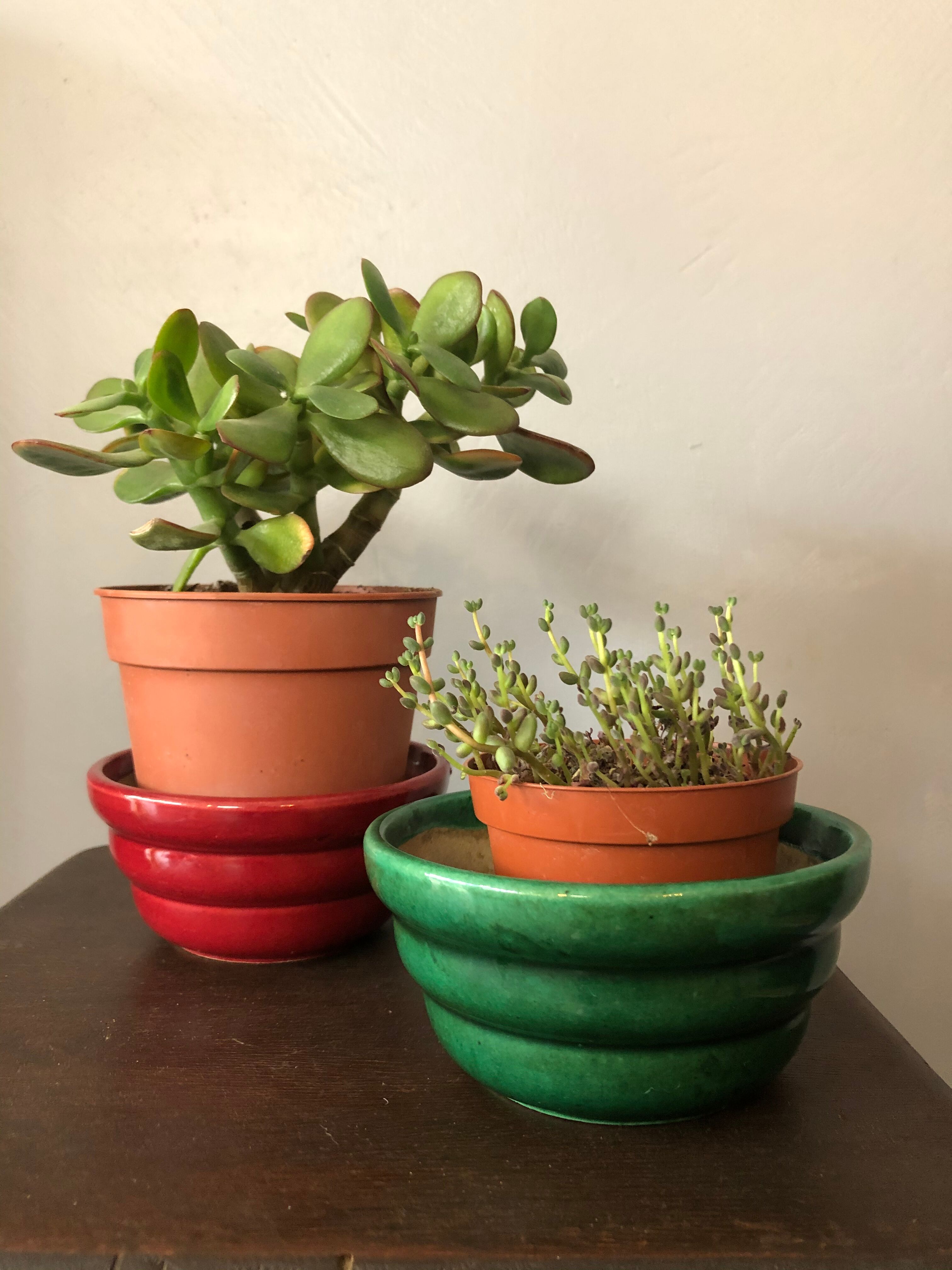 Duo of ceramic potholes