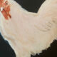 Rooster portrait oil painting on canvas