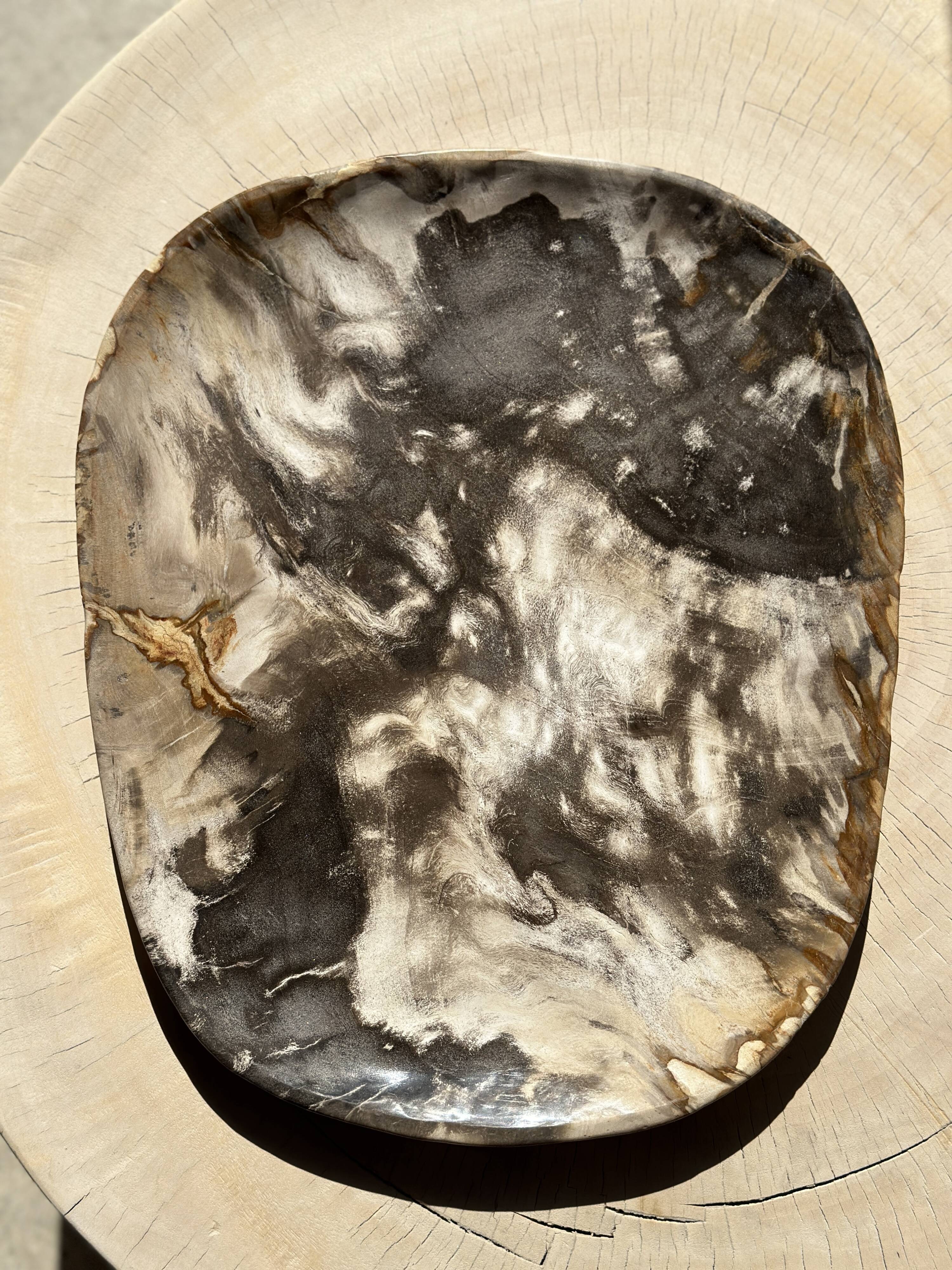 Very large pocket or dish in petrified wood