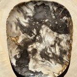 Very large pocket or dish in petrified wood