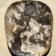 Very large pocket or dish in petrified wood