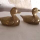 Canards laiton
