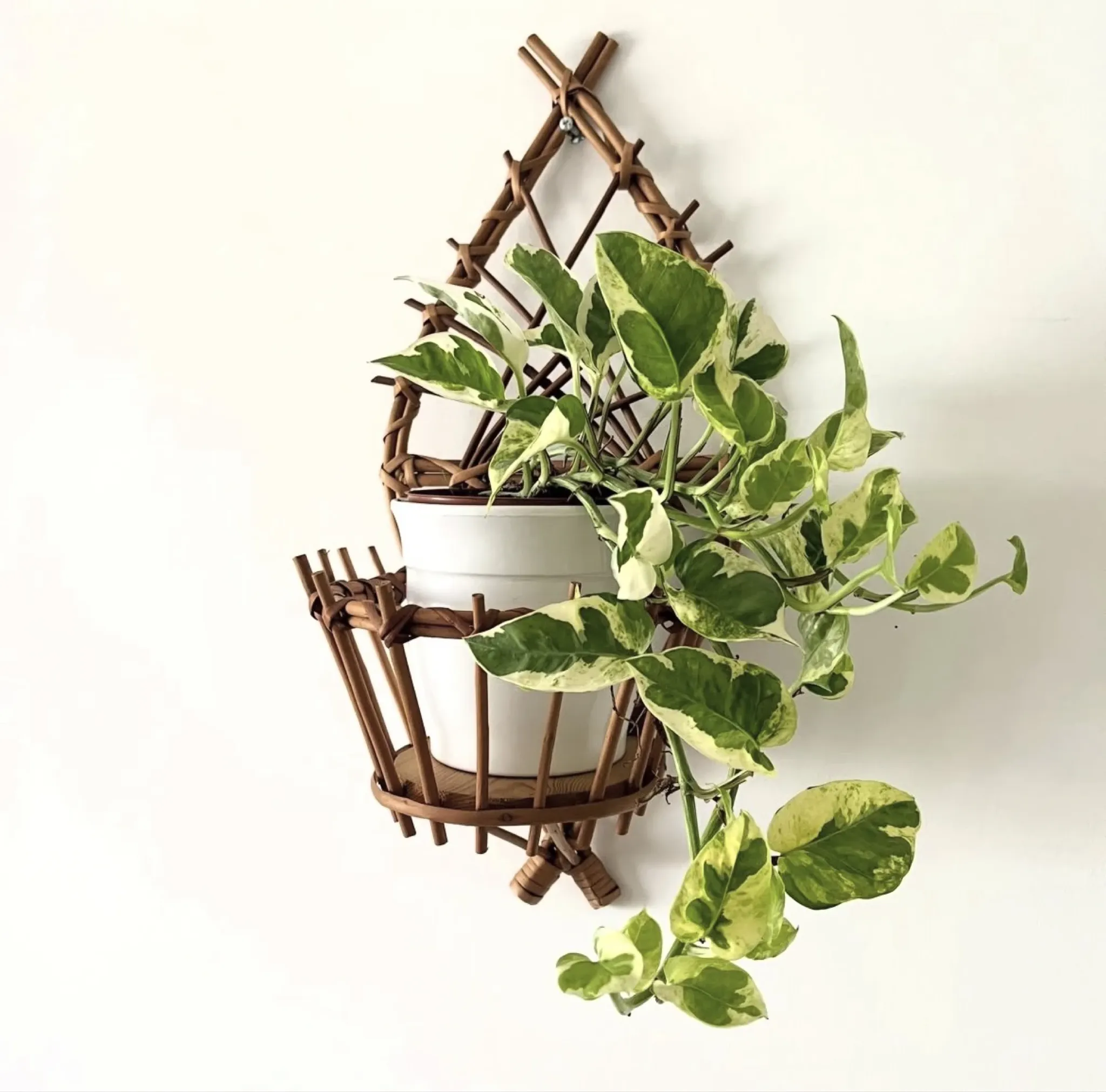 Wall-mounted plant holder in rattan