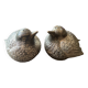 Sparrow salt and pepper duo