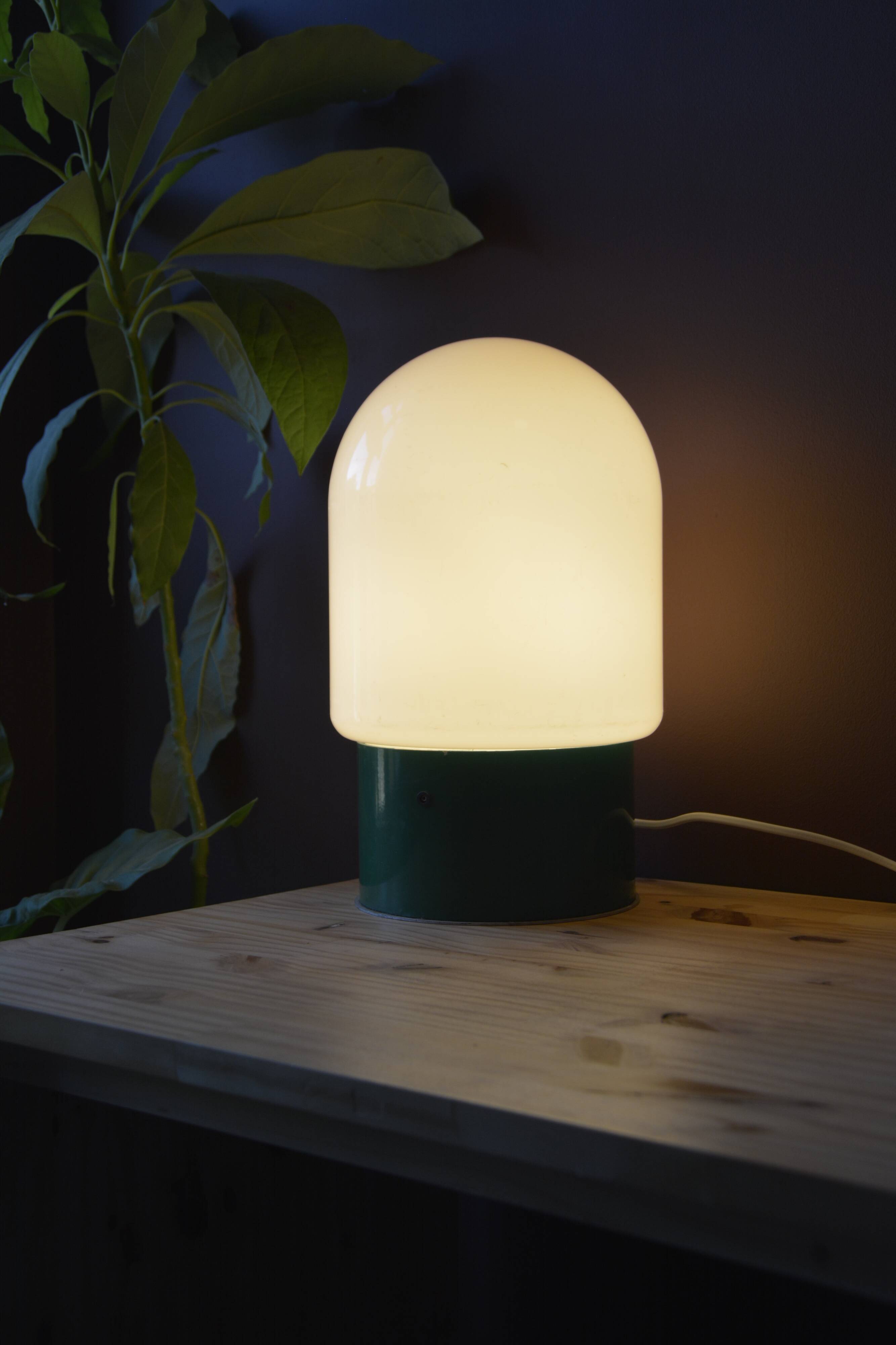 Pair of industrial lamps