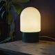 Pair of industrial lamps
