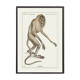 Lithographie gravure chimère animal - le mirilion