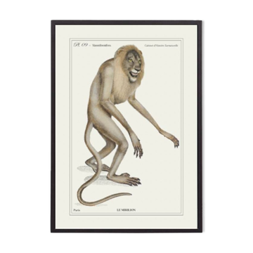 Lithographie gravure chimère animal - le mirilion