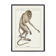 Lithographie gravure chimère animal - le mirilion