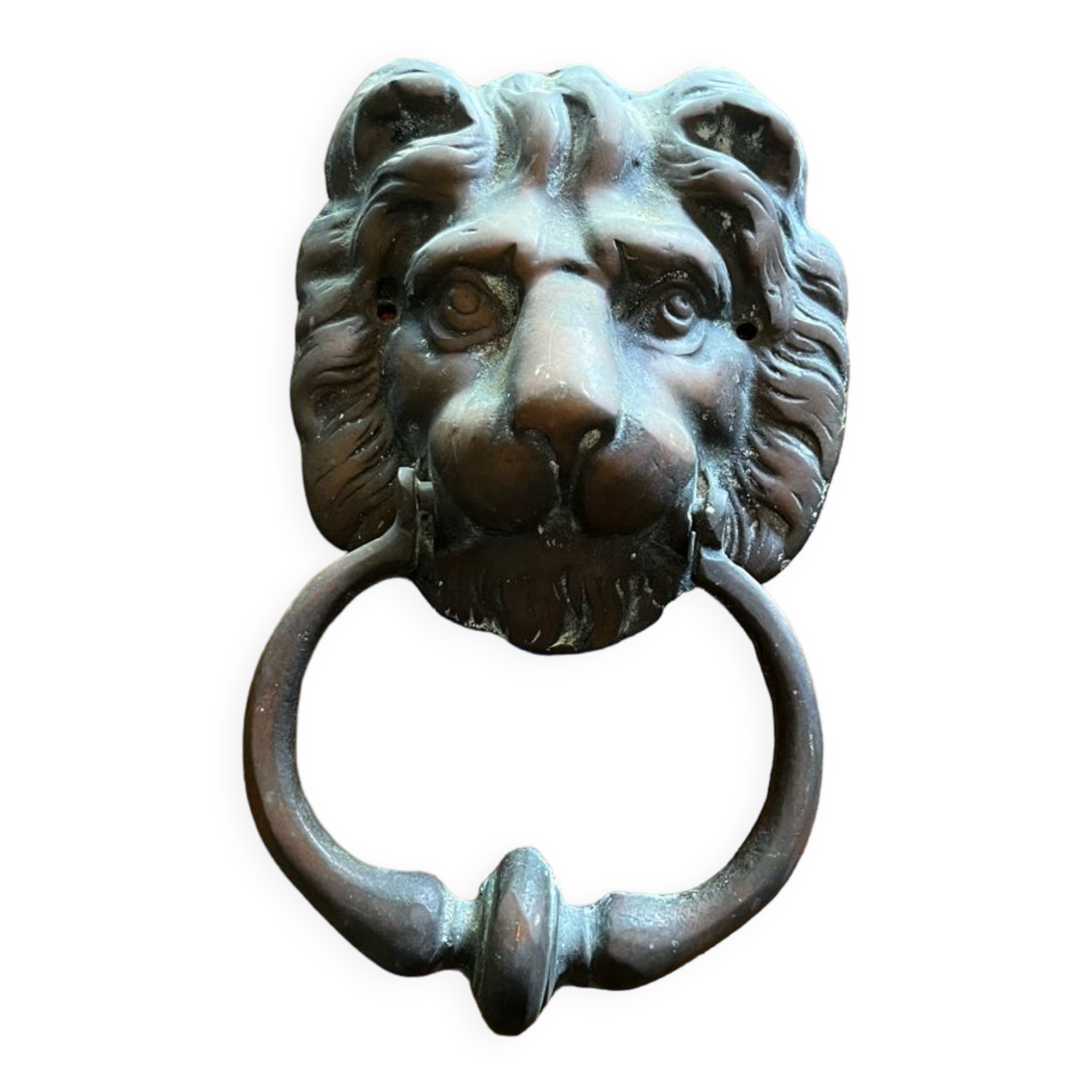 Lion head door knocker