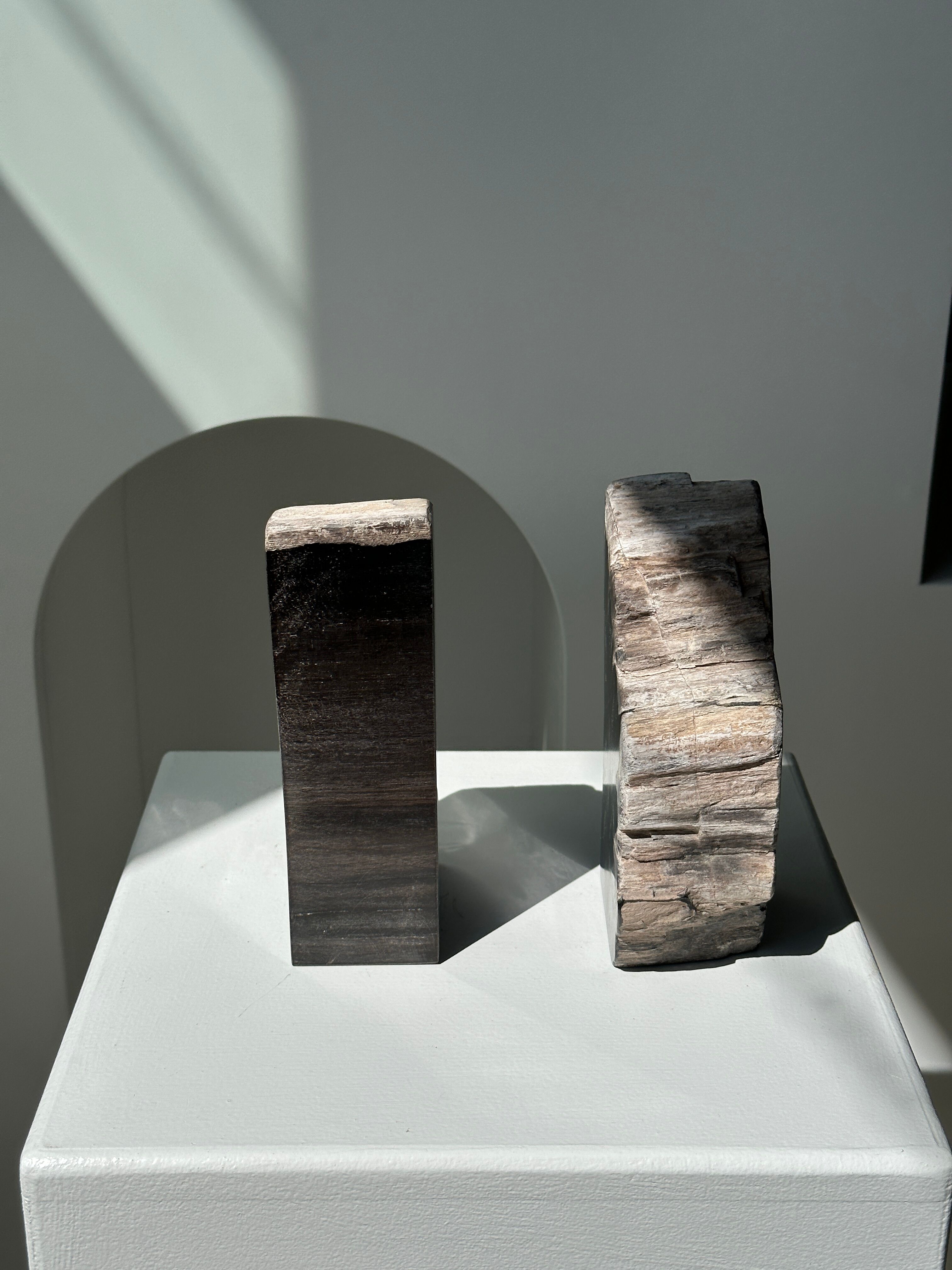 Black petrified wood bookend H17 L17 P6