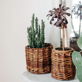 Raw wicker pot