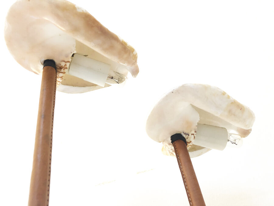 Rattan lamp and shells, 1930