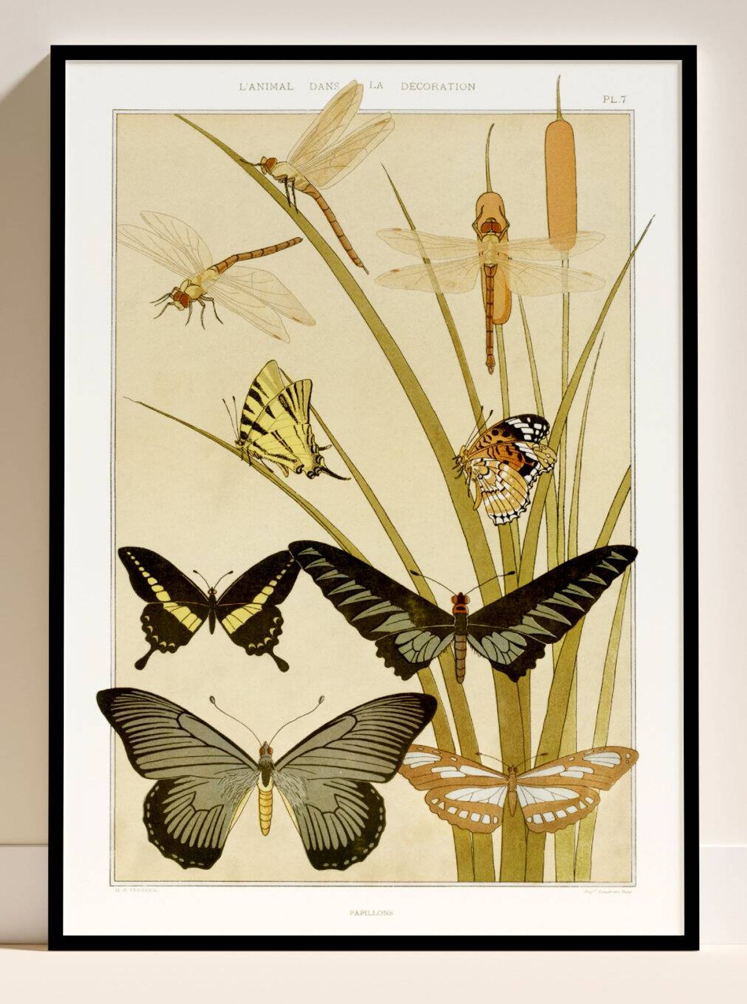 Poster “Butterflies”, after an Art Nouveau lithograph from 1897