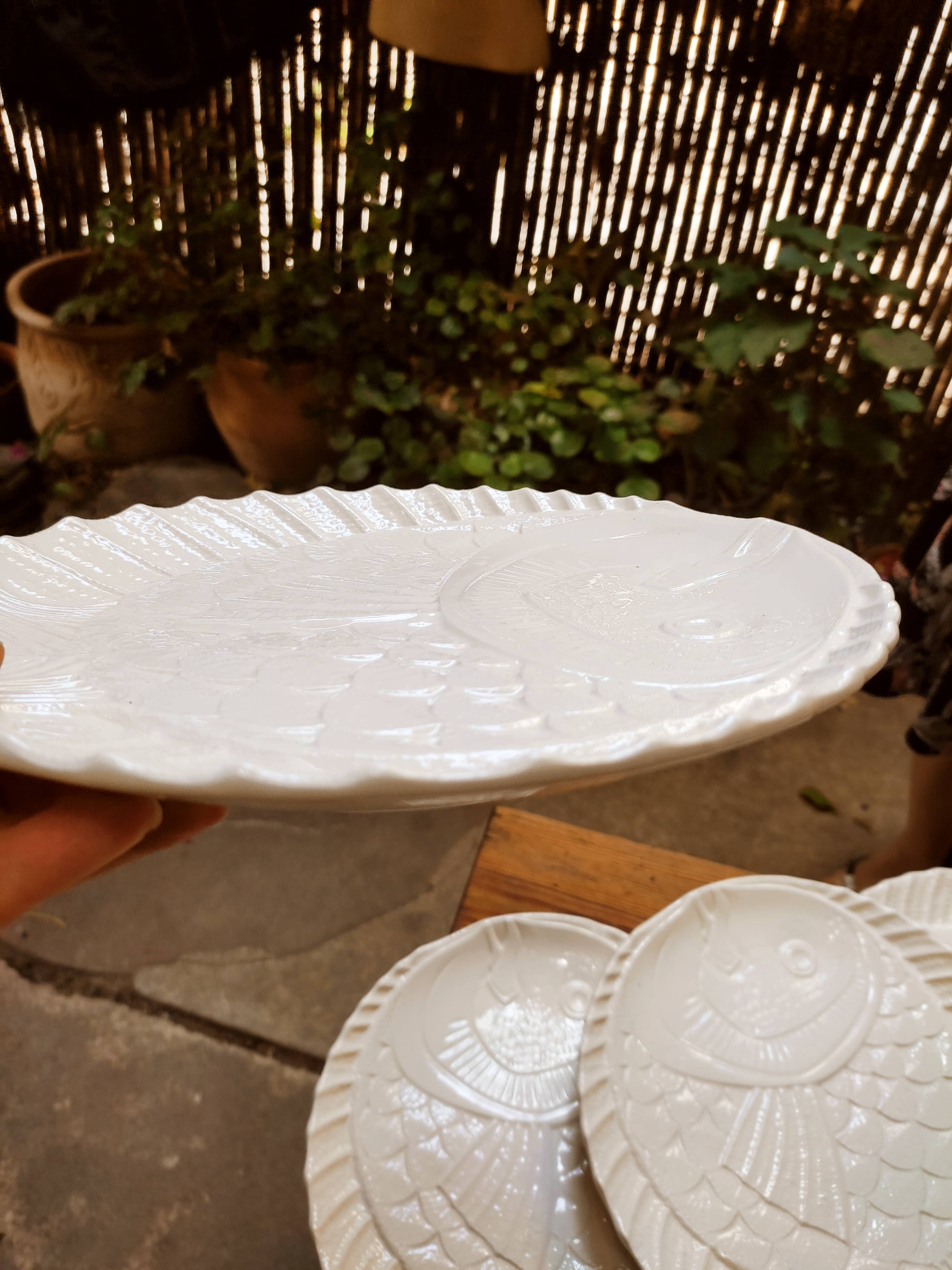 6 flat plates Sarreguemines