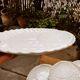6 flat plates Sarreguemines