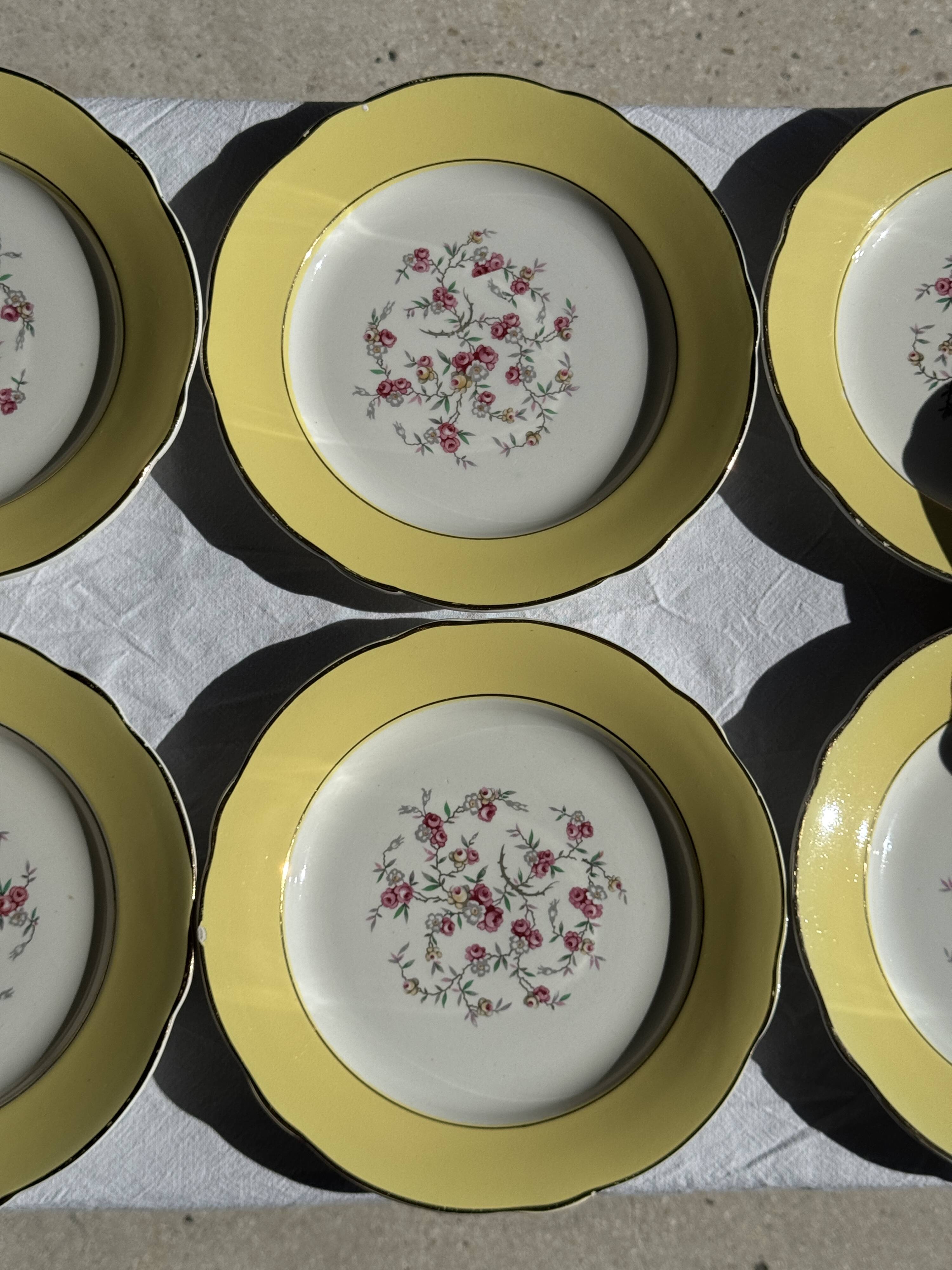 Lot de 19 grandes assiettes plates vintage jaunes fleurs roses liseré doré
