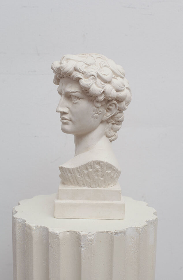 David head in white plaster