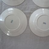 5 Plates flat Longchamp Lutèce faience old laurel green iron earth
