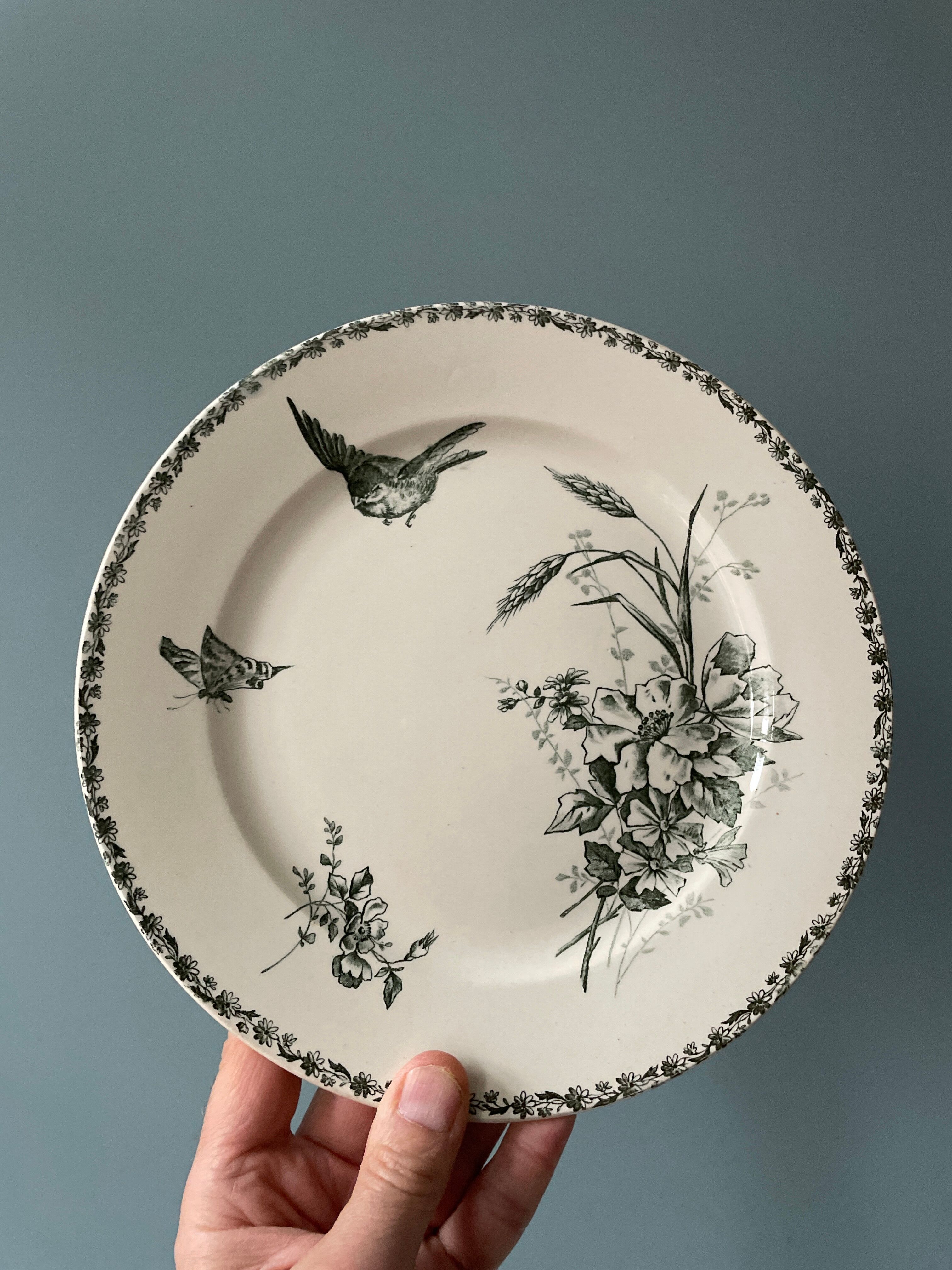 Set of 9 flat plates Terre de Fer XIXth Grand Dépôt E.Bourgeois