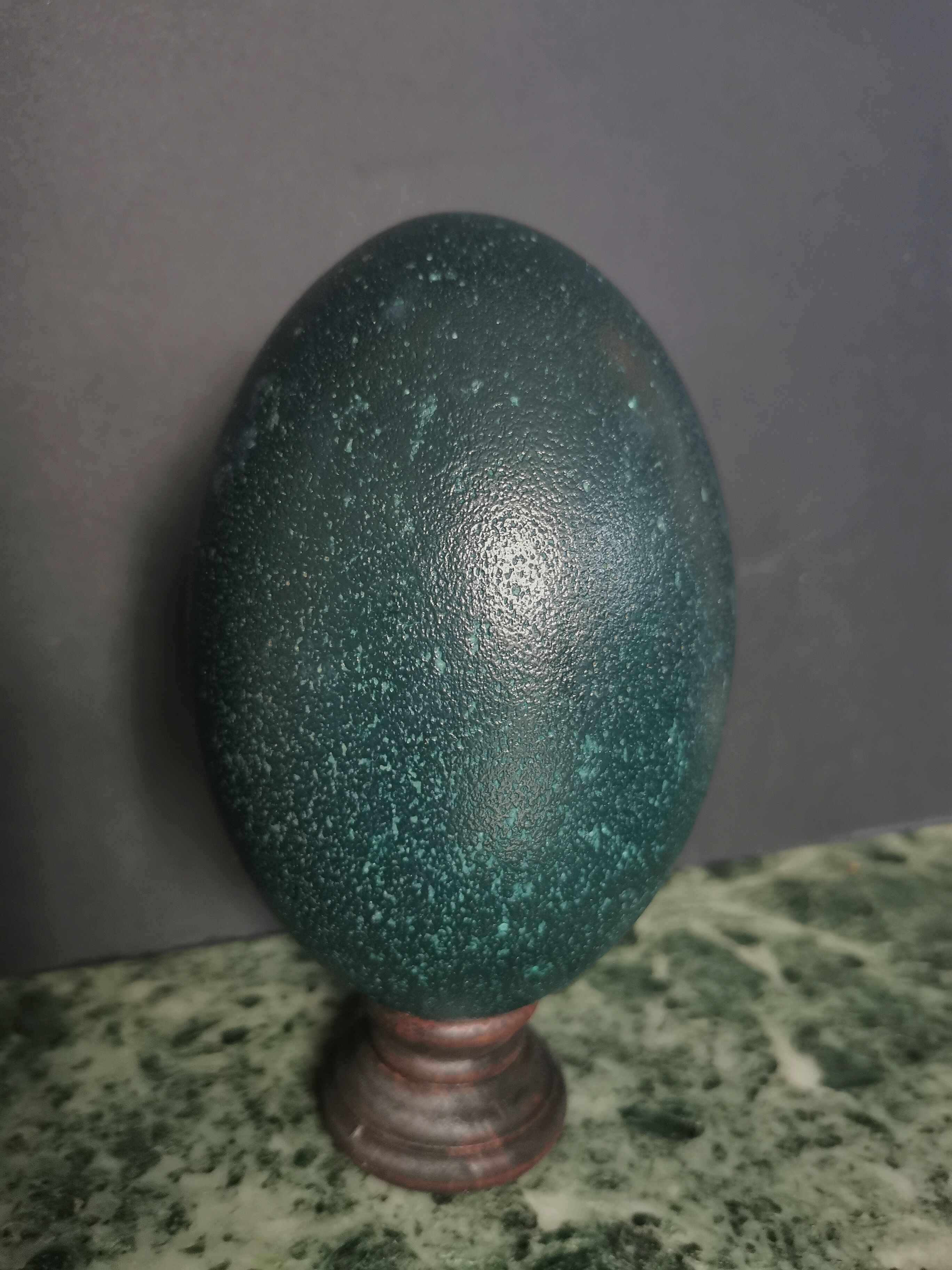 Emu egg naturally green / blue on dark wood bases