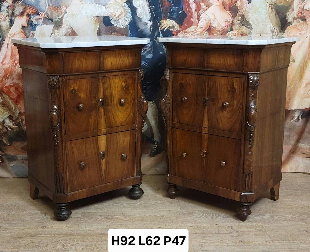 Rare pair of Italian display furniture from the Charles X period in mahogany.