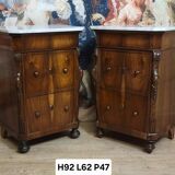 Rare pair of Italian display furniture from the Charles X period in mahogany.