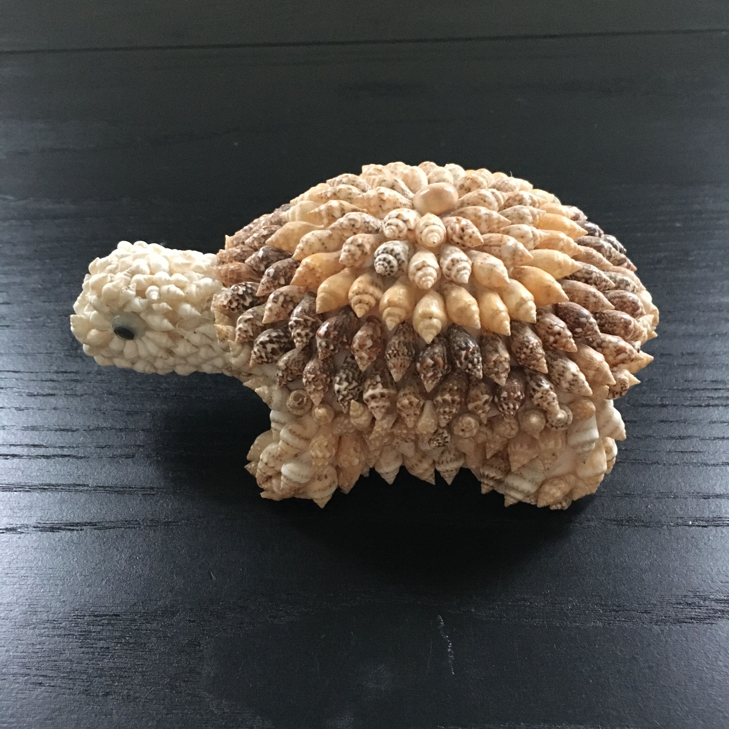 Shell turtle paperweight