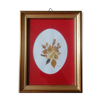 Herbarium gilded wood frame