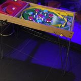 Flipper 1970s