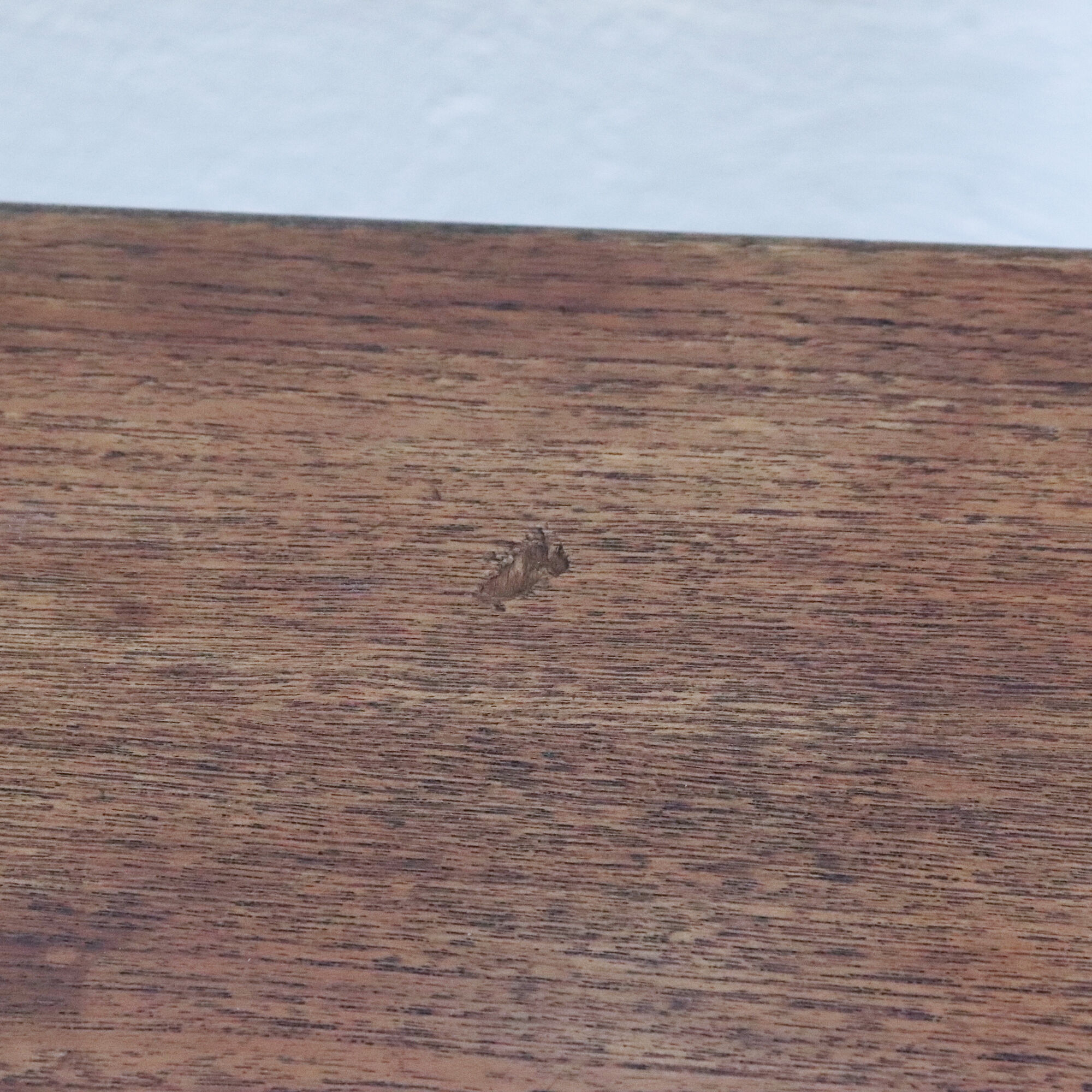 Pebble-shaped desk Sweden 1960