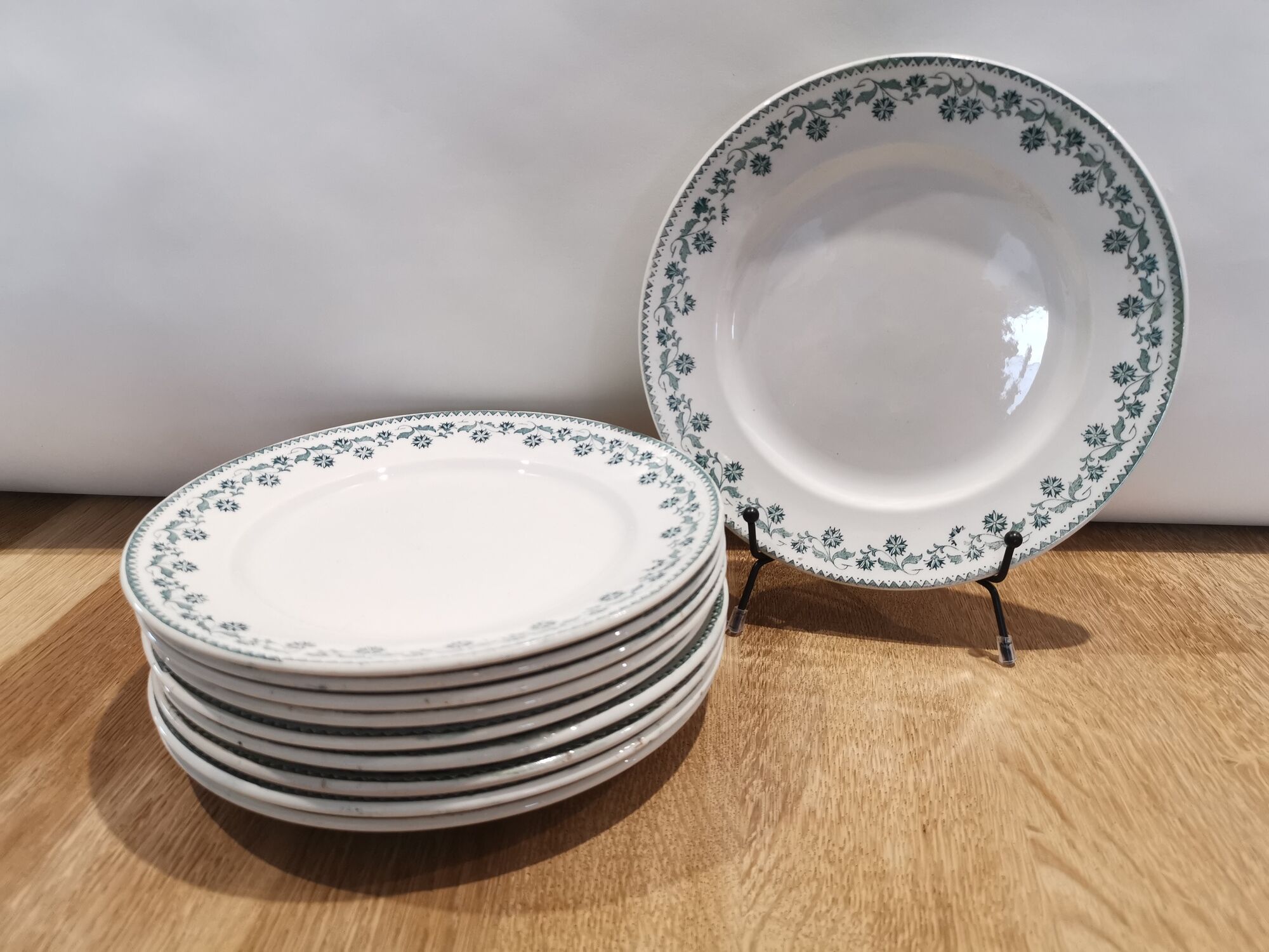 Set of 10 semi-hollow plates iron earth Moulin des loups "Georgette"