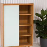 Vintage Scandinavian library - 1960