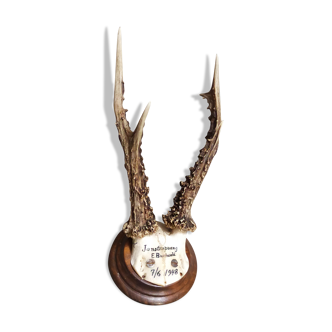 Trophée de chasse scandinave vintage