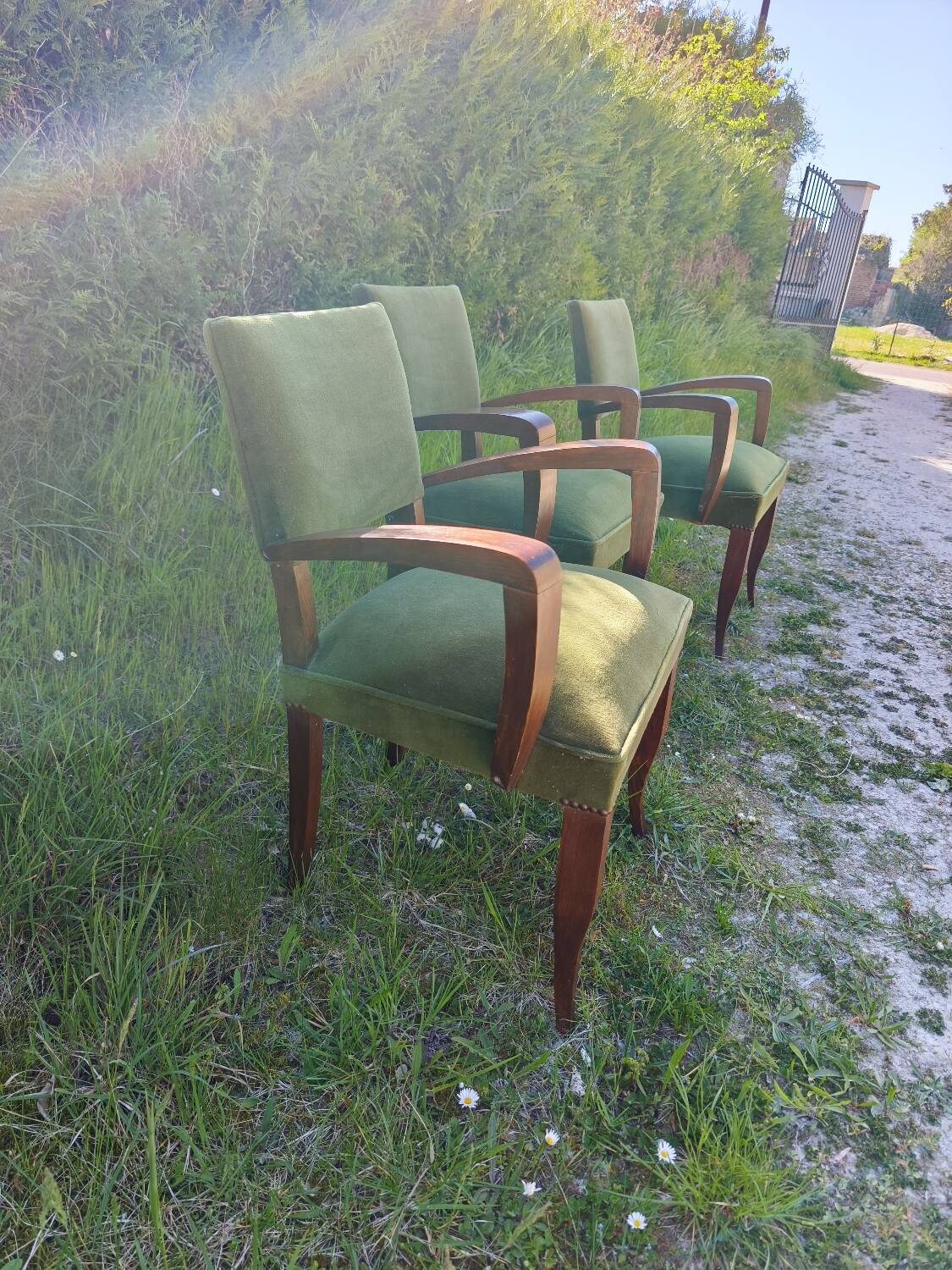 Set of 3 Art Deco bridge chairs in olive green velvet.