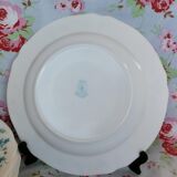 Lot de 6 assiettes creuses Arcopal Veronica Myosotis années 70
