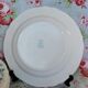 6 arcopal hollow plates veronica myosotis blue flowers 70s