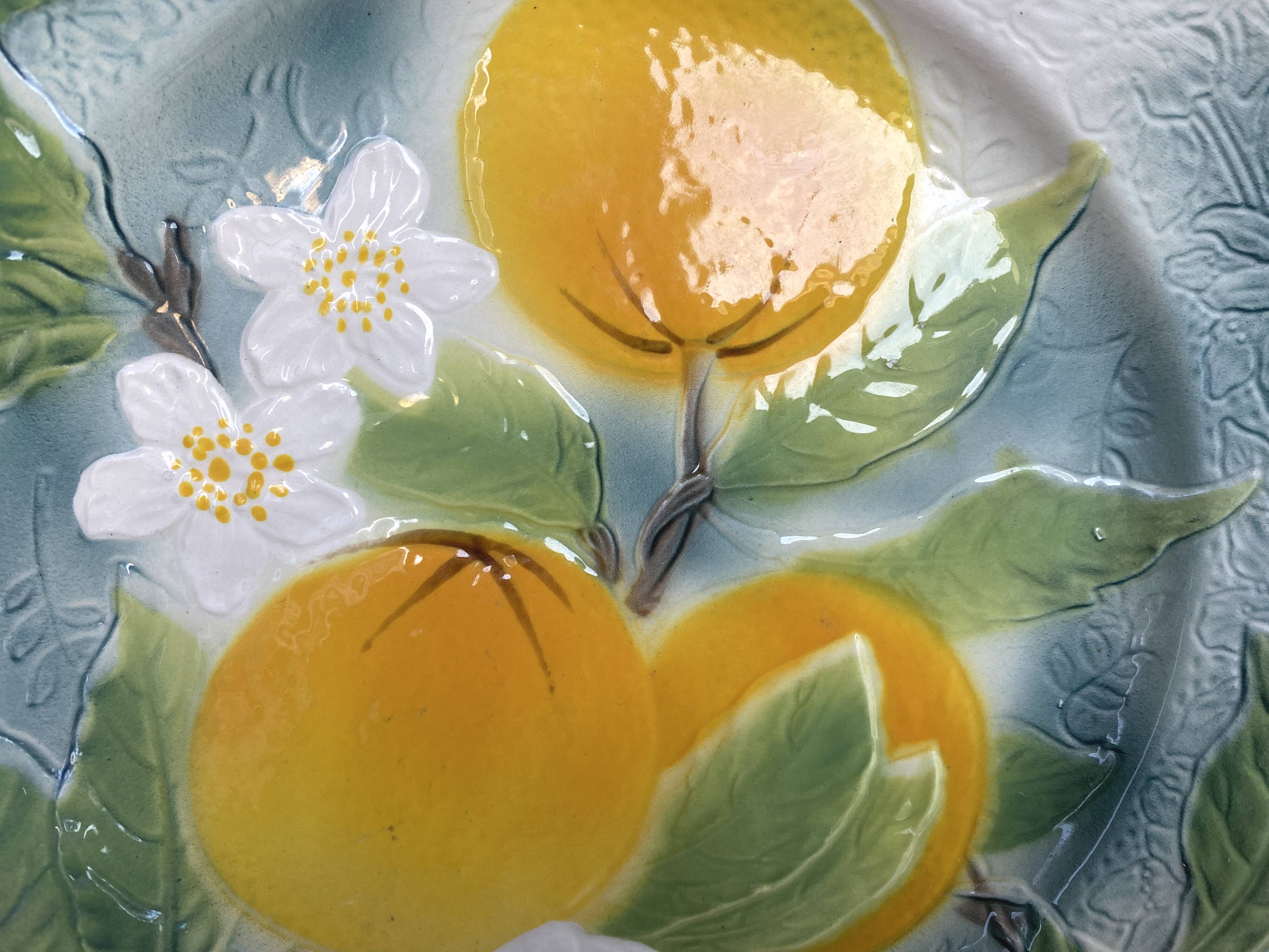 Vintage celadon green slipware plate with fruit decoration - Saint Clément