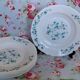 6 arcopal hollow plates veronica myosotis blue flowers 70s